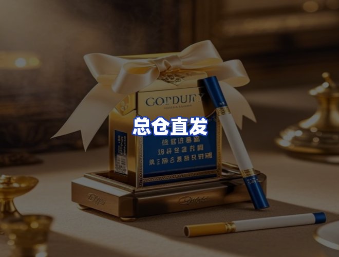 专业团队